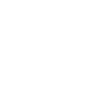 Accessibility Icon